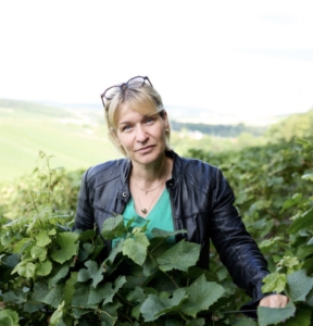 Domaine des Arondes